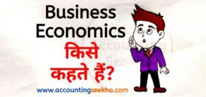 what is business economics by accounting seekho