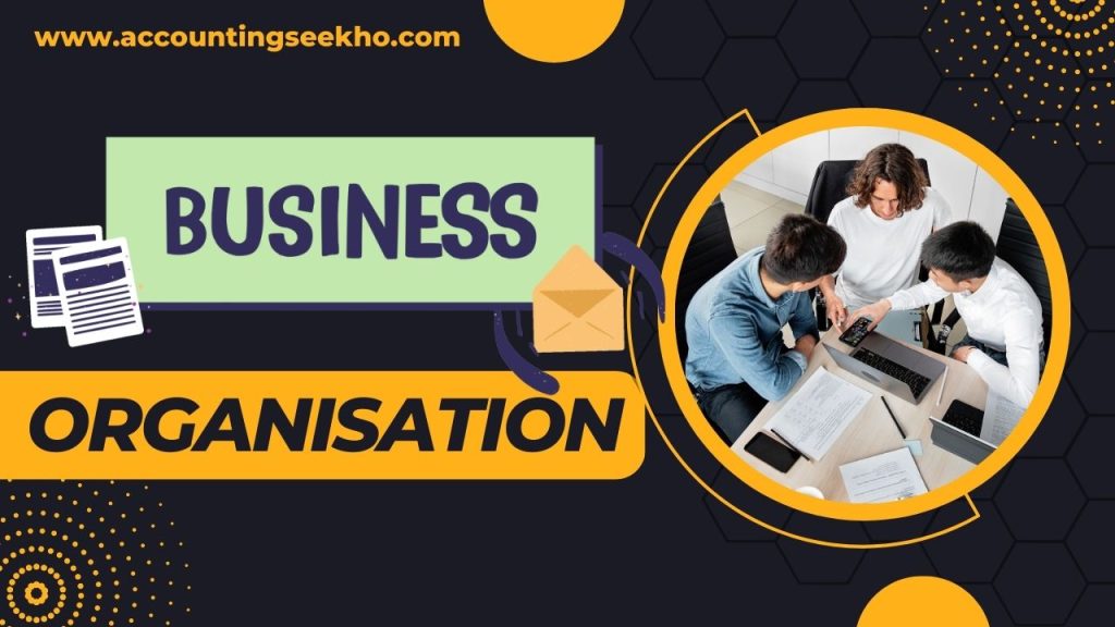 What Is Business Organisation In Hindi